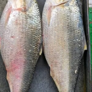 ৮ পিস মাছে ৫ কেজি= ১৯০০ টাকা।