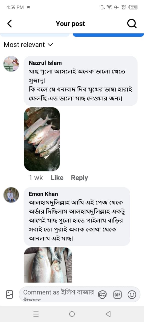 WhatsApp Image 2025-12-23 at 5.00.09 PM (1)